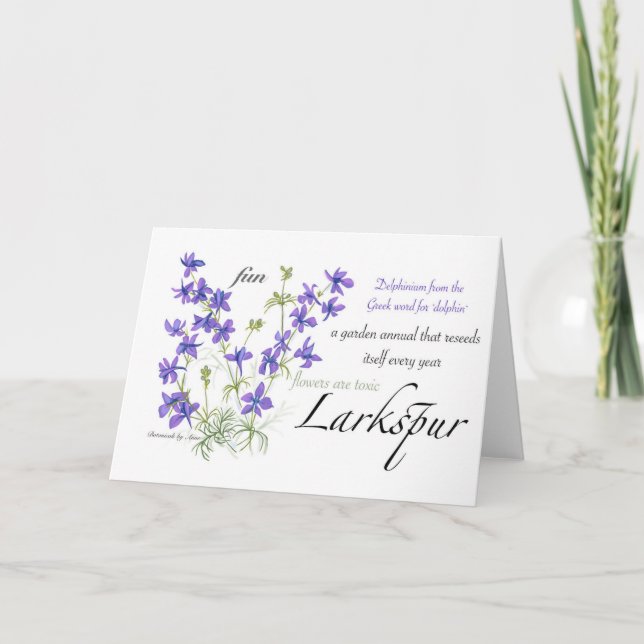 Larkspur Blank Card (Front)