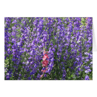Larkspur Cards
