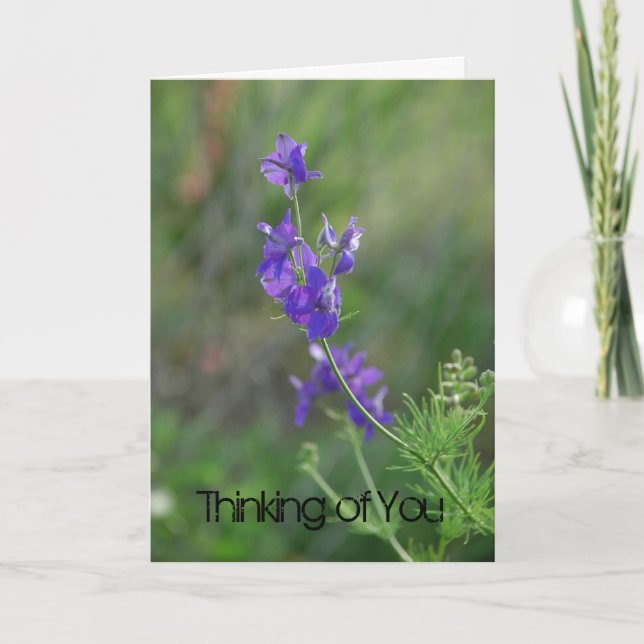 Larkspur Feel Better Card (Front)