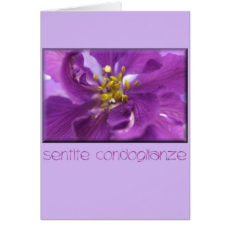 italian condolence words in Italian  Greeting  Sympathy Cards Photo  Zazzle Cards &