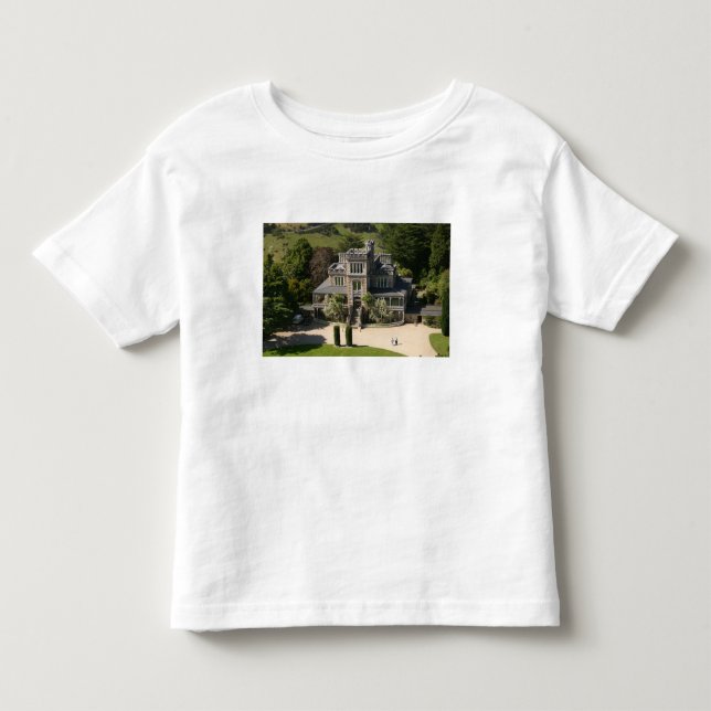 Larnach Castle, Dunedin, New Zealand - aerial Toddler T-shirt (Front)