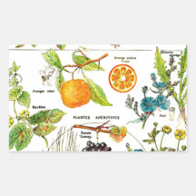 Larousse Fruit Orange Pear Grape Garden Nature Art