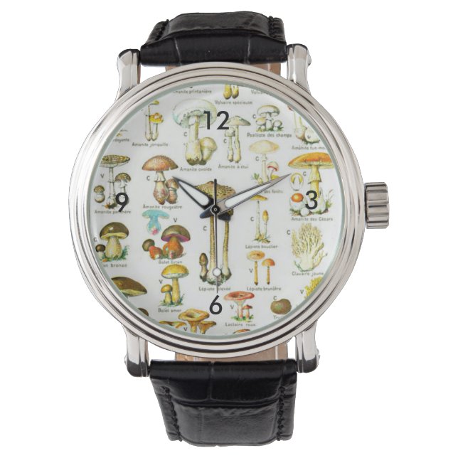 Larousse Mushroom Fungus Nature Art Painting Watch (Front)