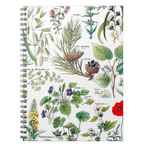 Larousse Plants calmantesemollientespectorales Notebook