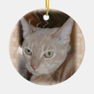 Larry the Cat Ceramic Ornament