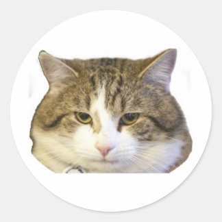 Larry the Downing Street Cat Face Classic Round Sticker