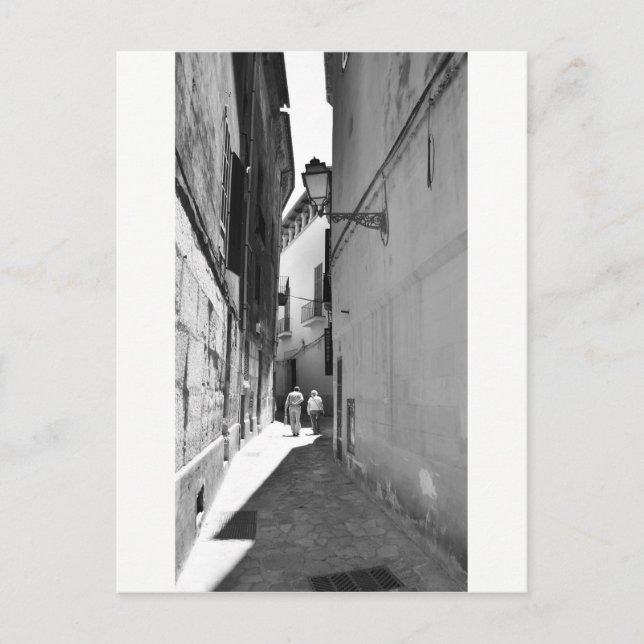 Las blancas palomas de Palma* Postcard (Front)