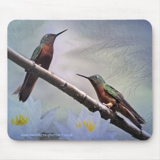 Las Gemas Mousemat Mouse Pad (Front)