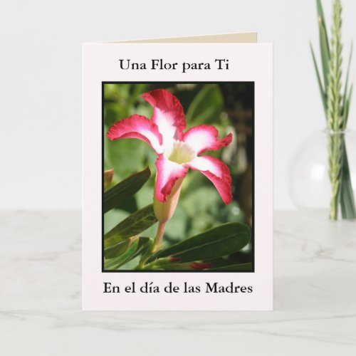 Las Madres Day Una flower for you Card
