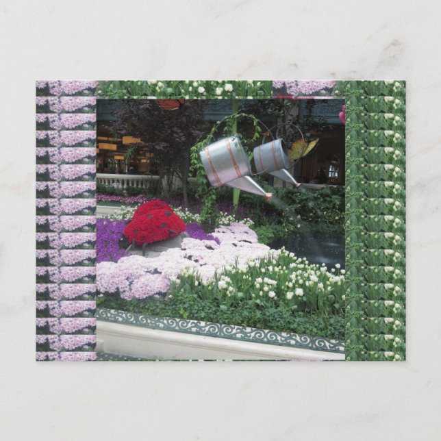 Las Vegas Butterfly Park LadyBugs Postcard (Front)