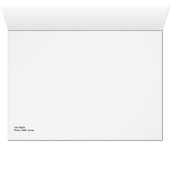 Las Vegas NY NY and MGM Hotels (Inside Horizontal (Bottom))