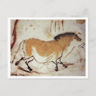 LASCAUX HORSE    POSTCARD