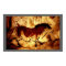 Lascaux Horse