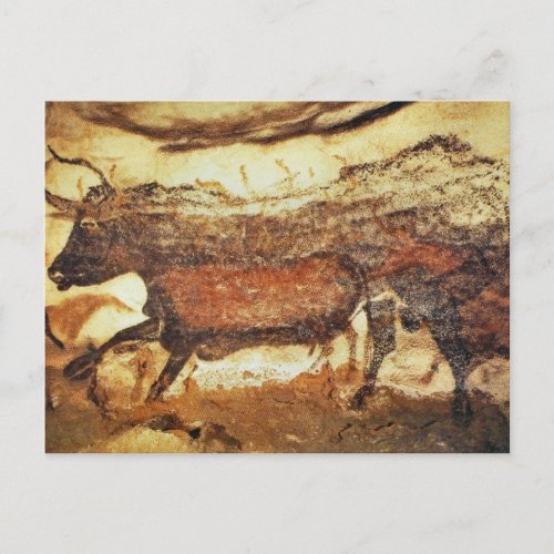 Lascaux Prehistoric Cave Art Postcard