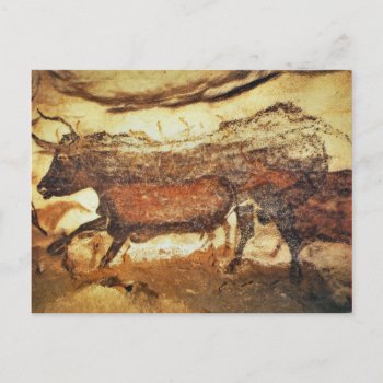 Lascaux Prehistoric Cave Paintings Postcard by Franceimages at Zazzle