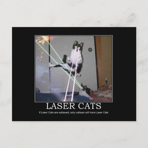 Laser Cats Postcard