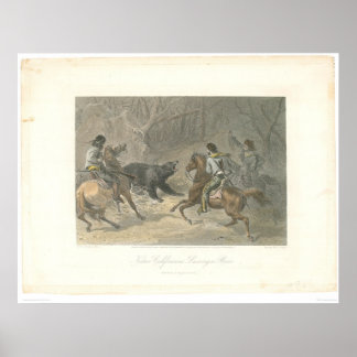 Lassoing a Bear (1178A) Poster