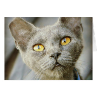 Last Hope's Jean Grey