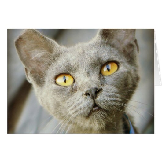 Last Hope's Jean Grey (Front Horizontal)