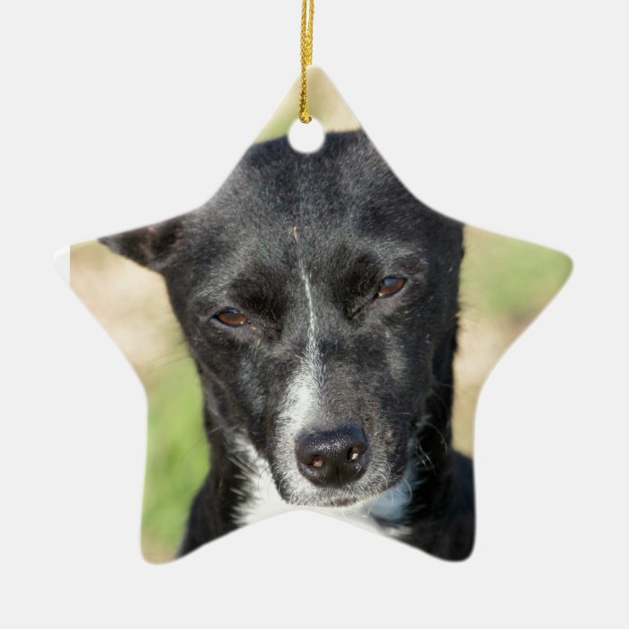 Last Hope's Squeakers Christmas Ornament