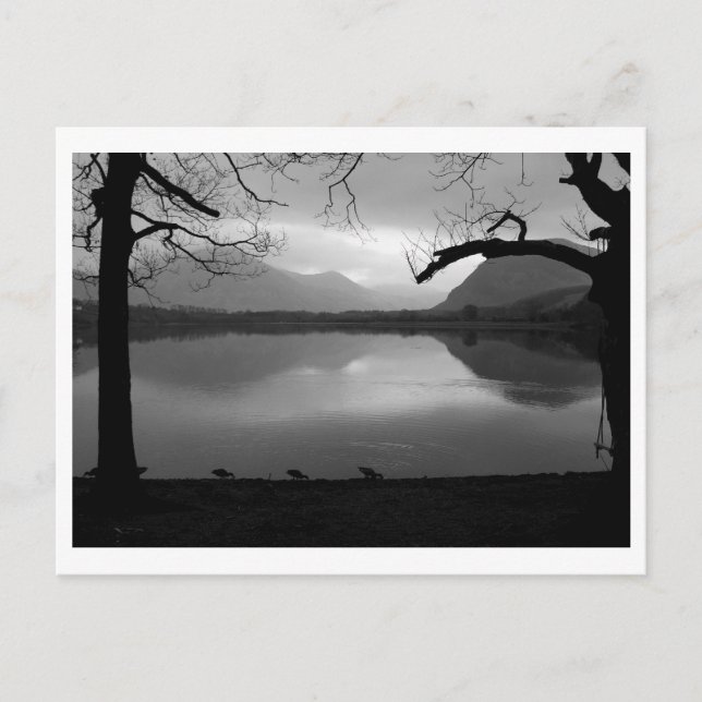 Last Light at Loweswater: Lake District  Postcard (Front)