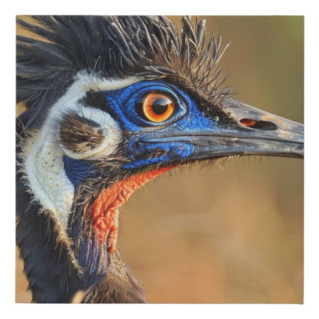 Last Light of the Grasslands – Bengal Florican Faux Canvas Print (Front)