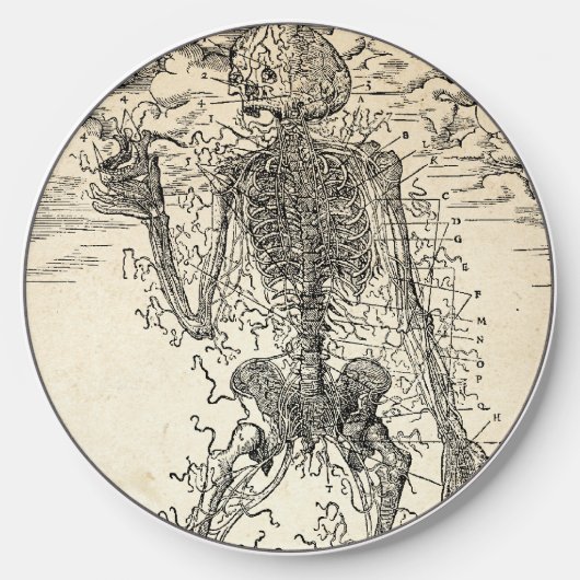 Last Nerve - Halloween Skeleton Wireless Charger (Front)