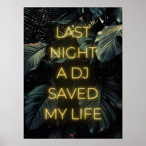 Last night a DJ saved my life Lyrics Poster