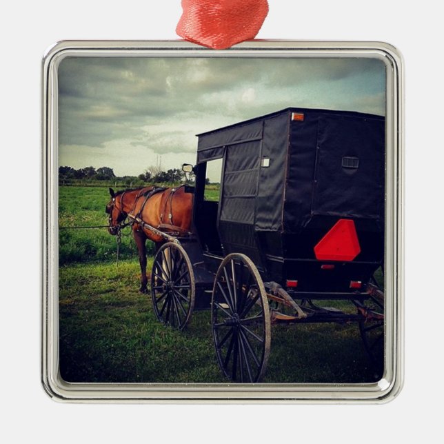 Last Night in an Amish community, Amish Horse Metal Ornament (Front)