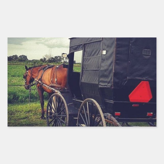 Last Night in an Amish community, Amish Horse Rectangular Sticker (Front)