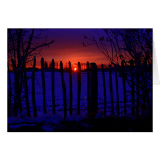 LAST OF THE WINTER SUN CARDS