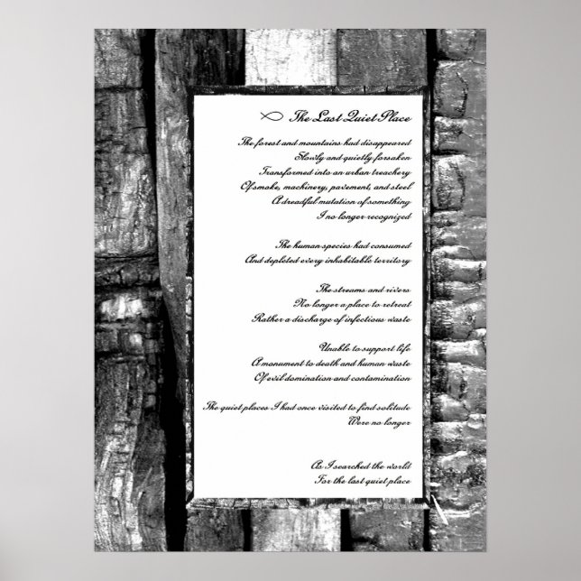 Last Quiet Place Poster (Front)