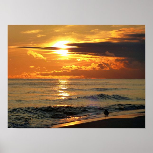 Last Sandpiper Poster (Front)