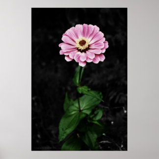 Lasting Impression Poster