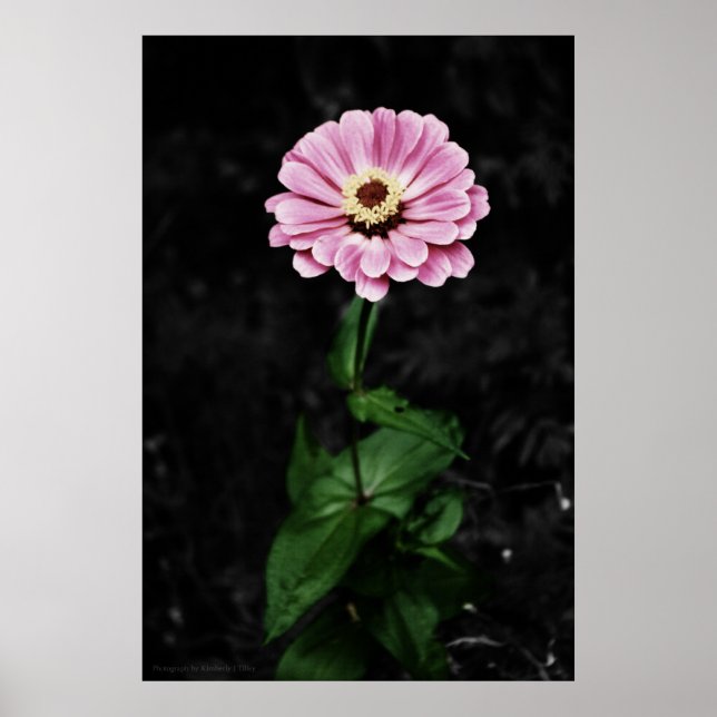 Lasting Impression Poster (Front)