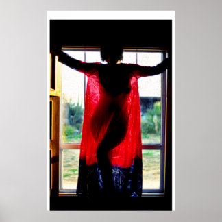 Late afternoon, Baja, California Poster