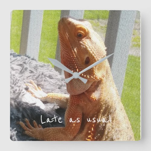 Late as usual Funny Bearded Dragon Square Wall Clock