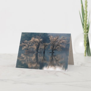 Late Autumn Island Reflections Card