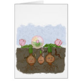 Late Bloomer (Front)