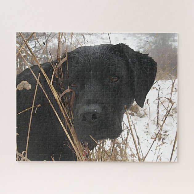 labrador jigsaw puzzle