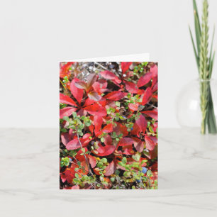 Late Summer in Alaska - 4" x 5.6" Notecard