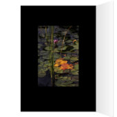 Late Summer Lilly Pond Cards (Inside (Left))