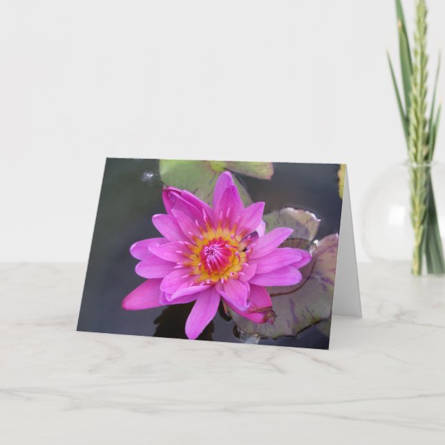 Late Summer Water Lily Card (Front)