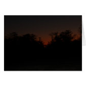 Late sunset (Front Horizontal)