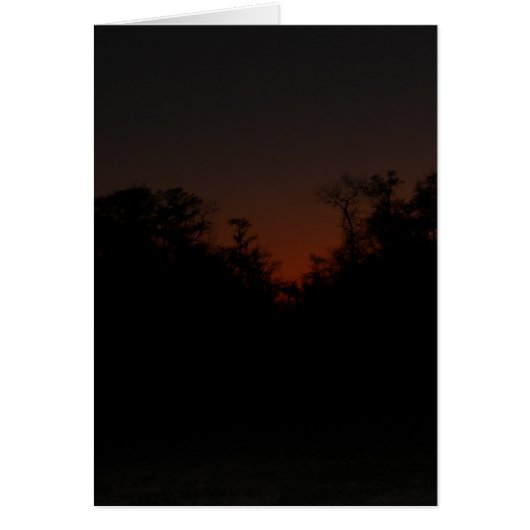 Late sunset cards (Front)