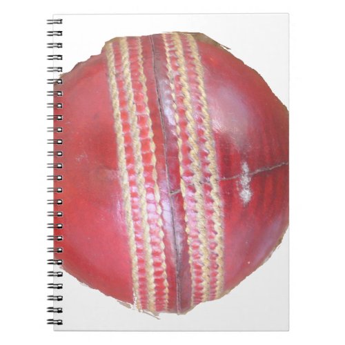 Latest India Cricket Ideas Notebook