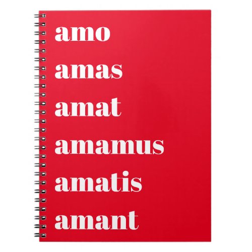 Latin Amo Amas Amat Schooldays Theme Notebook