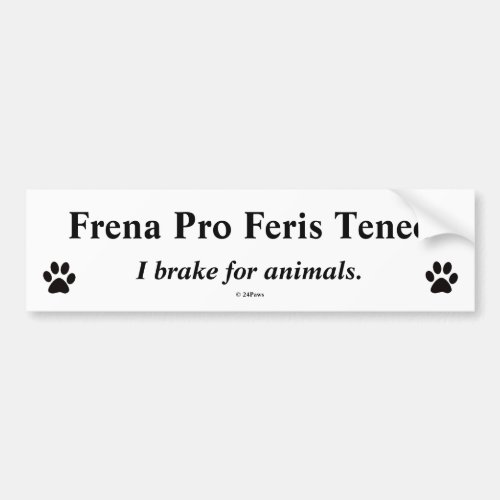 Latin Bumper Translated _ Frena Pro Feris Teneo Bumper Sticker