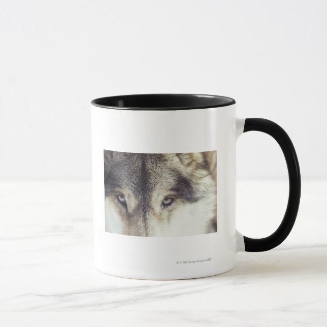 Latin name: Canis Lupus Mug (Right)