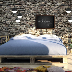 Latin quote freedom encouragement poster